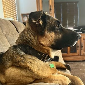 Meet your Posher, Sean